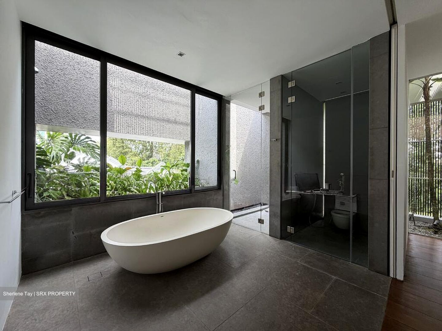 King Albert Park (D21), Detached #524139771